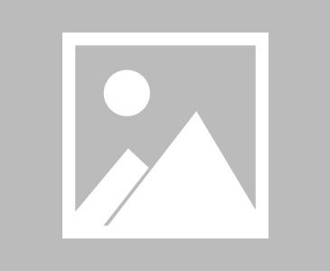 欧宝电竞-山东高速男篮第四外援最新消息